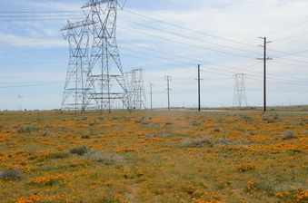 Enlarge photo 17