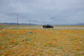Enlarge photo 19