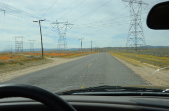 Enlarge photo 25