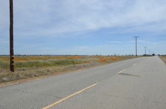 Enlarge photo 6