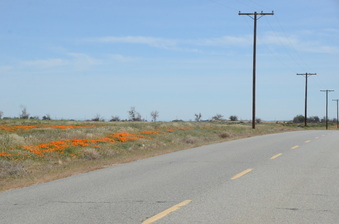 Enlarge photo 7