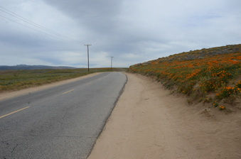 Enlarge photo 10