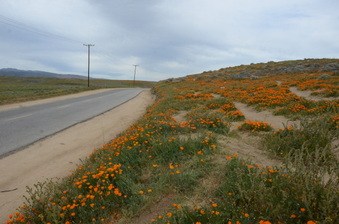 Enlarge photo 11