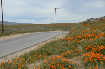 Enlarge photo 12