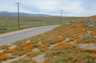 Enlarge photo 13