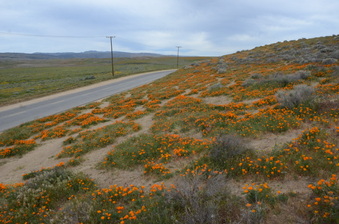 Enlarge photo 15