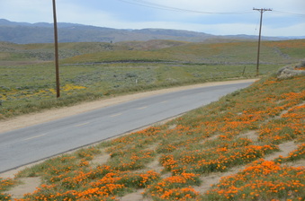 Enlarge photo 14