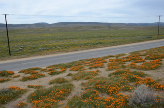 Enlarge photo 17