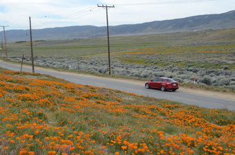Enlarge photo 20