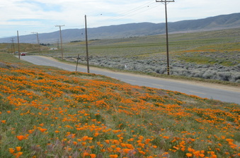Enlarge photo 22