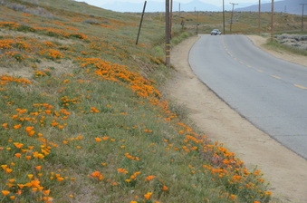 Enlarge photo 24