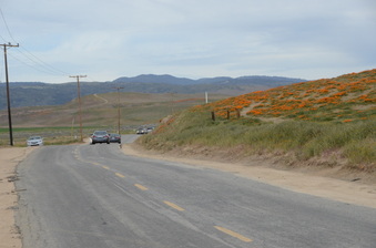 Enlarge photo 26