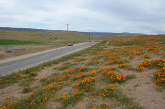 Enlarge photo 27