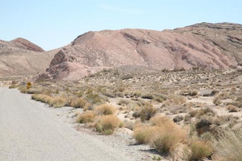 Enlarge photo 49