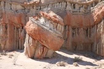 Enlarge photo 53