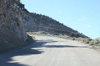 Enlarge photo 8