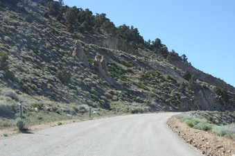 Enlarge photo 11