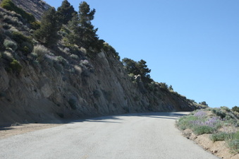 Enlarge photo 12