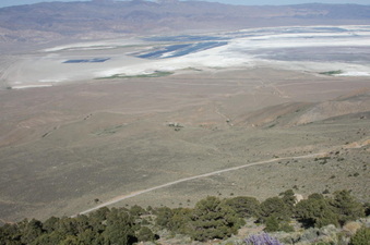 Enlarge photo 17