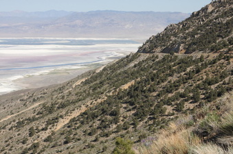 Enlarge photo 19