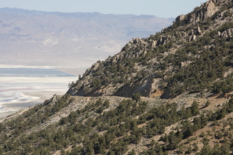 Enlarge photo 22