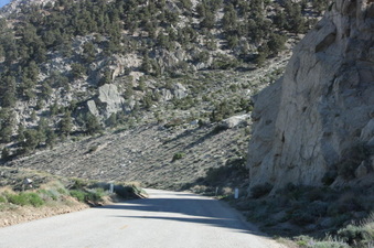 Enlarge photo 26