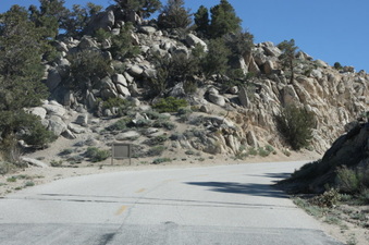Enlarge photo 41