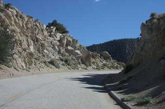 Enlarge photo 42