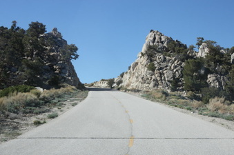 Enlarge photo 43