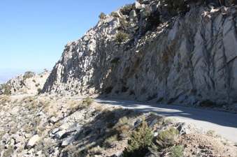 Enlarge photo 49