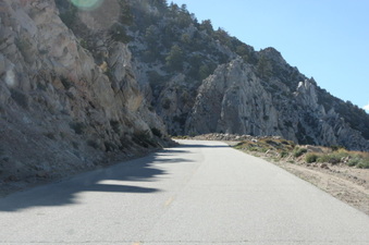 Enlarge photo 52