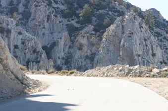 Enlarge photo 54