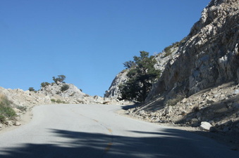 Enlarge photo 58