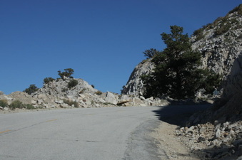 Enlarge photo 59