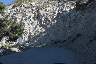 Enlarge photo 60