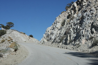Enlarge photo 61