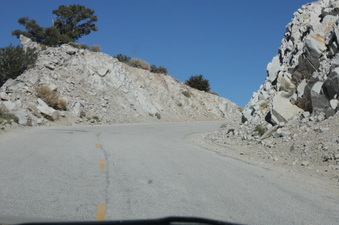 Enlarge photo 62