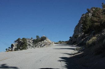 Enlarge photo 63