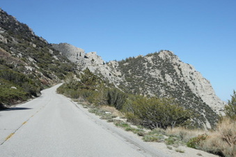 Enlarge photo 66