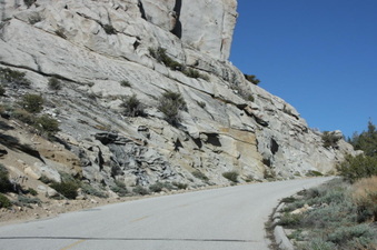 Enlarge photo 71