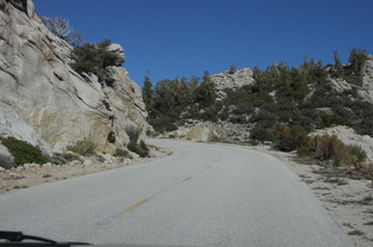 Enlarge photo 72