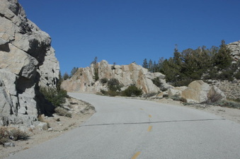 Enlarge photo 73
