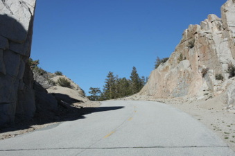 Enlarge photo 75