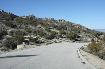 Enlarge photo 76