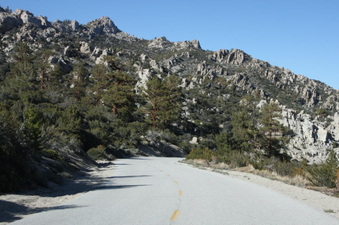 Enlarge photo 78