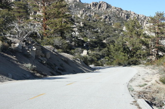 Enlarge photo 79
