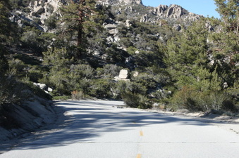 Enlarge photo 80