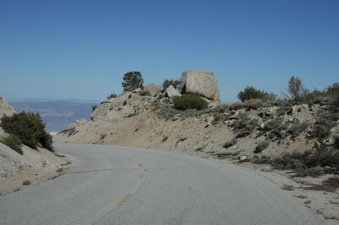 Enlarge photo 83