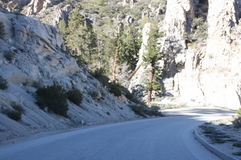 Enlarge photo 85