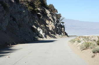 Enlarge photo 99